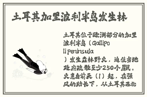 亚洲自偷拍精品日韩另类
